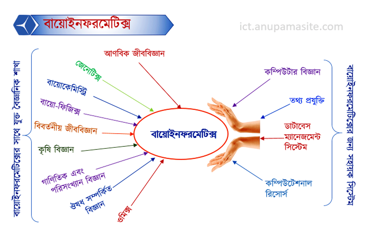 ICT প্রতিটি অধ্যায় এর গুরুত্বপূর্ণ চিত্র
