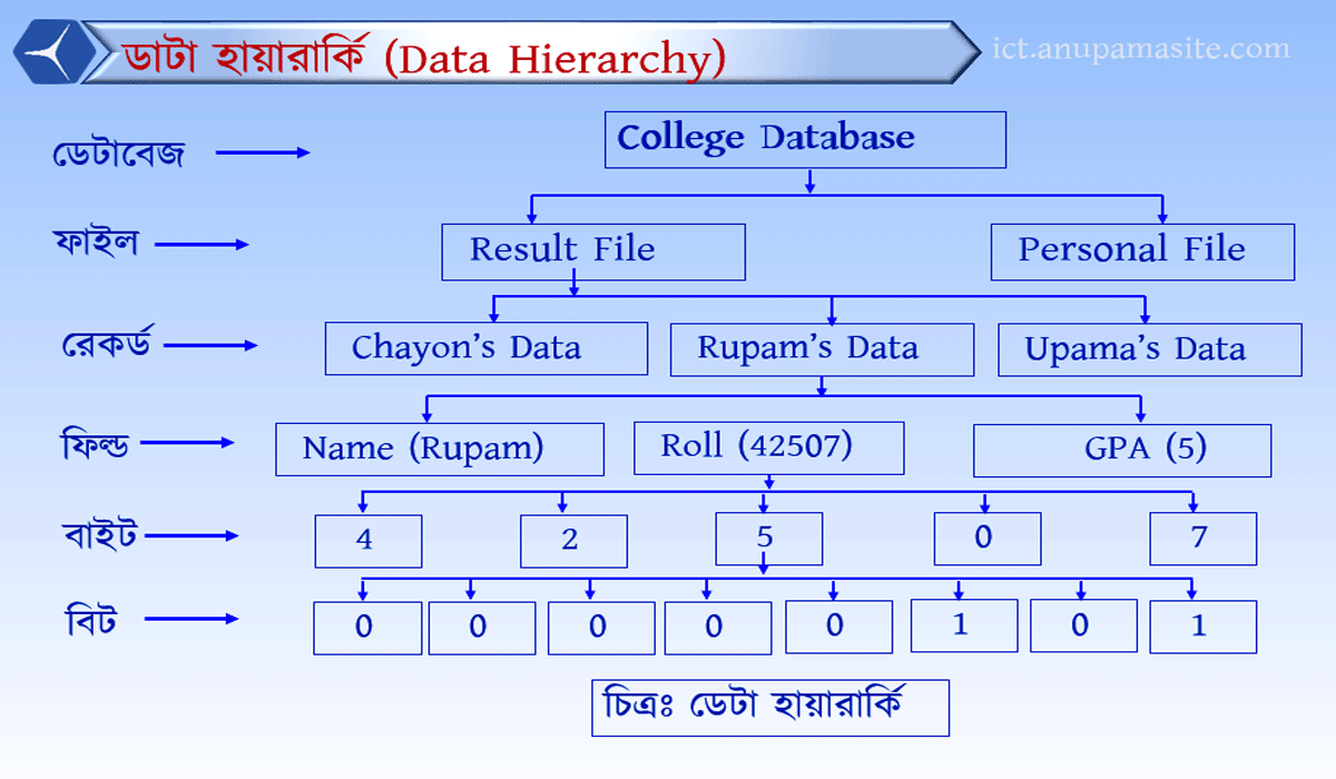 ICT প্রতিটি অধ্যায় এর গুরুত্বপূর্ণ চিত্র